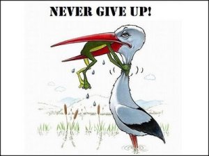 never-give-up