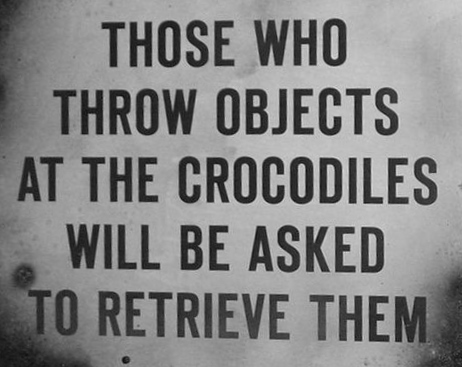 crocodiles