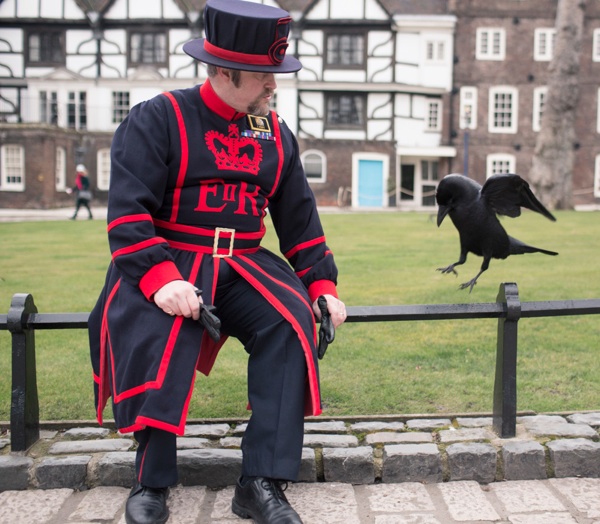 odd-job-raven-master-tower-of-london-spitalfieldslife-com