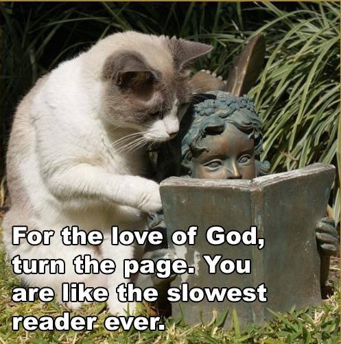 slow-reader