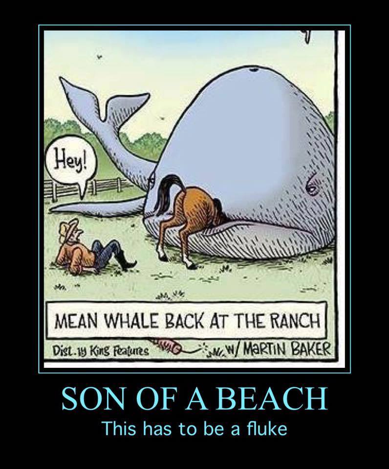 15823646_1243495699049129_3311251294993924872_n