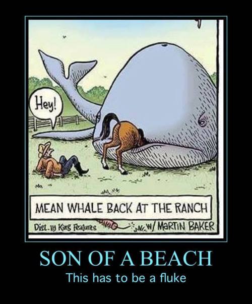 15823646_1243495699049129_3311251294993924872_n