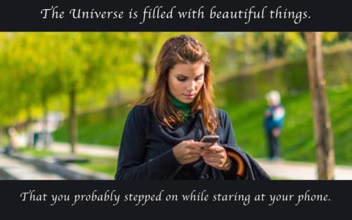 Beautiful Things Ignored