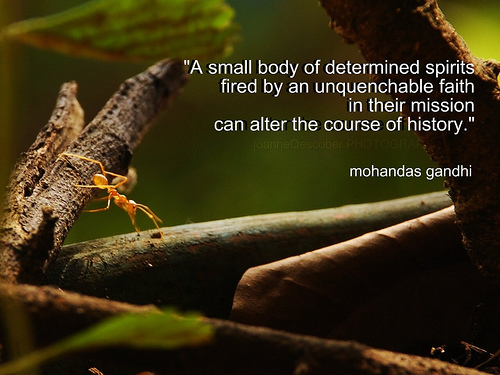 Mahatma Gandhi - Determined, alter history