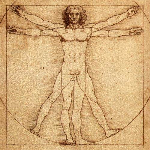 Da Vinci Vitruvian Man