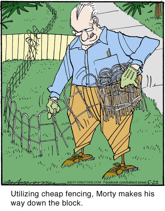 Fencing.jpg