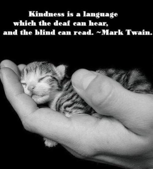 Mark Twain - Kindness is a Language, Deaf, Blind