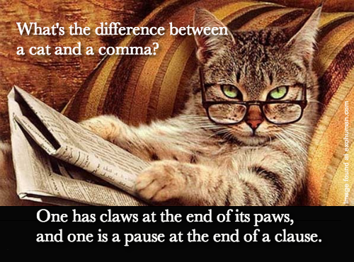 Cat &amp; Grammar
