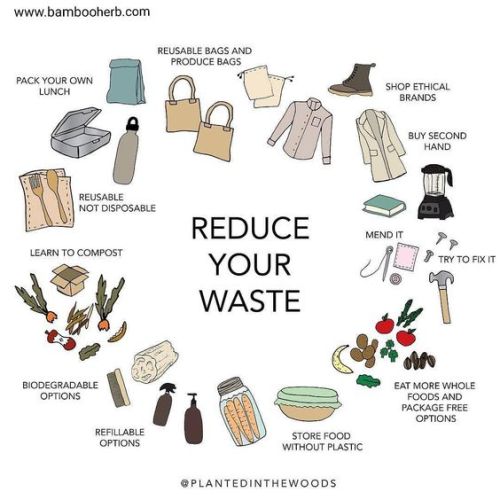 Reduce your waste