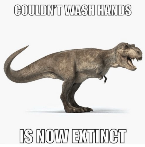 T Rex Wahing Hands