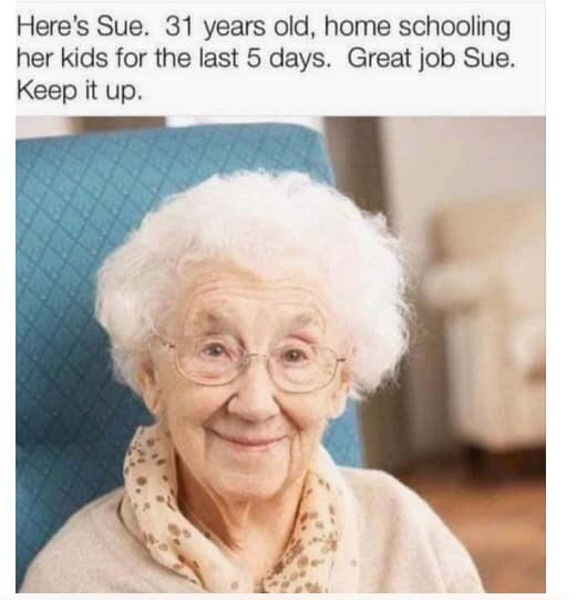 Corona Jokes - Homeschooling