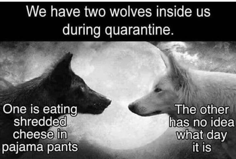 Two Wolves, Quarantine